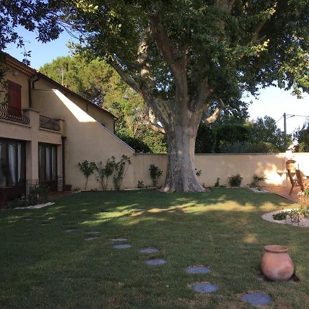 Mas Halcyon Provence Acomodação com café da manhã Avinhão Exterior foto